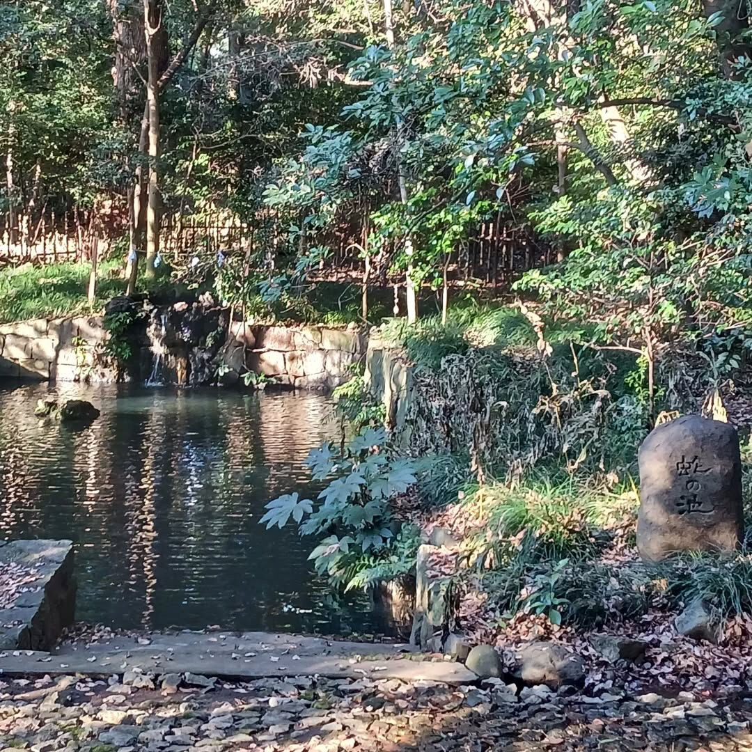 2025年の干支『蛇』に ちなんだ神社に行って来ました😄