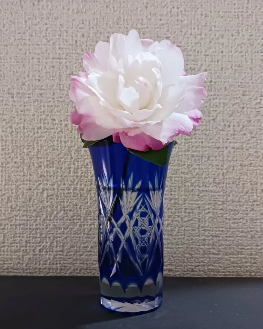 寒い日が続いていますが お元気ですか？