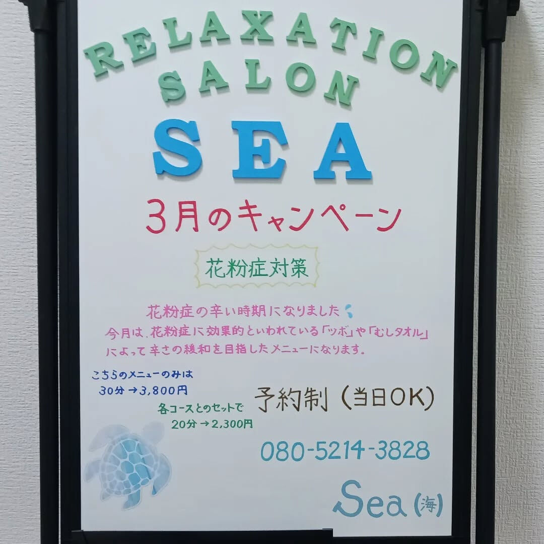 🌷３月限定キャンペーン 🌷