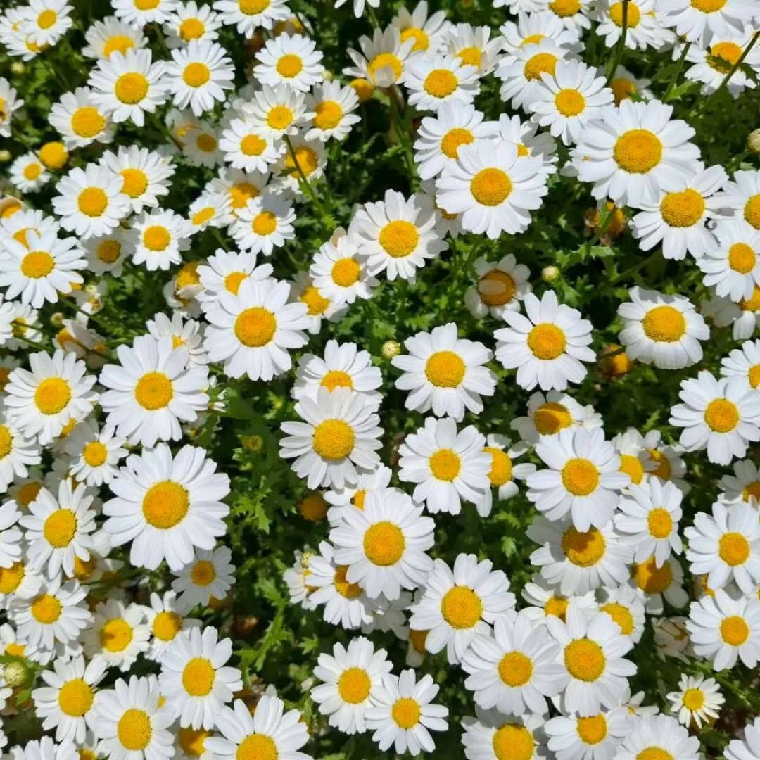 🎏 ５月限定キャンペーン 🎏